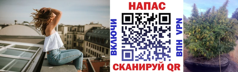 Шишки марихуана конопля Великий Устюг